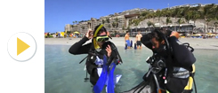 Beach Clean Up