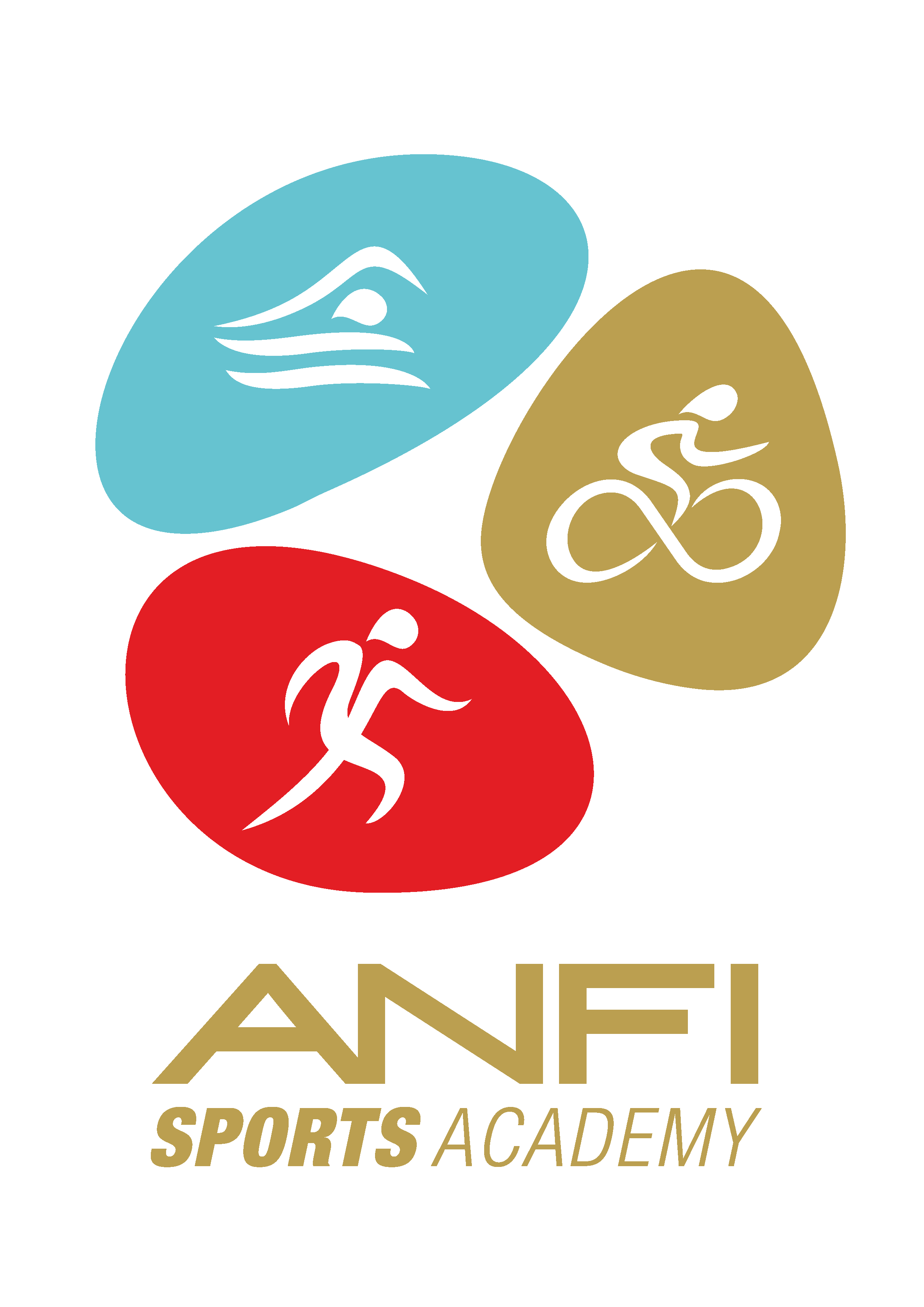 sport-academy